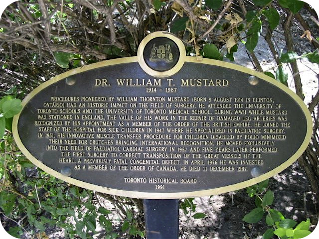 Plaque Photo