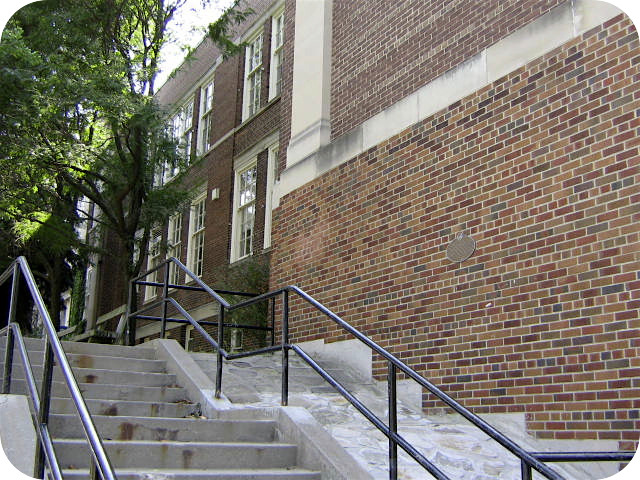 Jackes Site