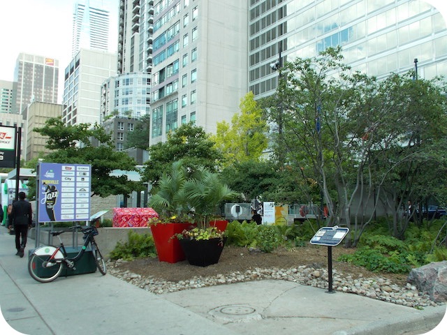 Public Transit in Yorkville