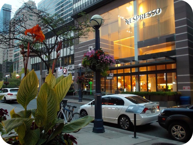 Yorkville's Music Scene